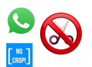 Hoq to set whatsapp dp without crop