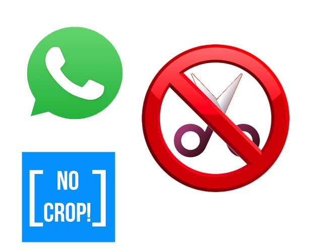 Hoq to set whatsapp dp without crop