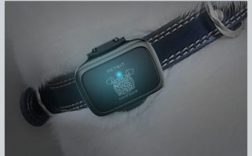 Xiaomi PETBIT: Xiaomi’s Smart Gadget for Pets xiaomi smart belt for pets